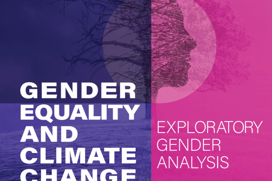 Gender Equality And Climate Change In Jordan - Exploratory Gender ...